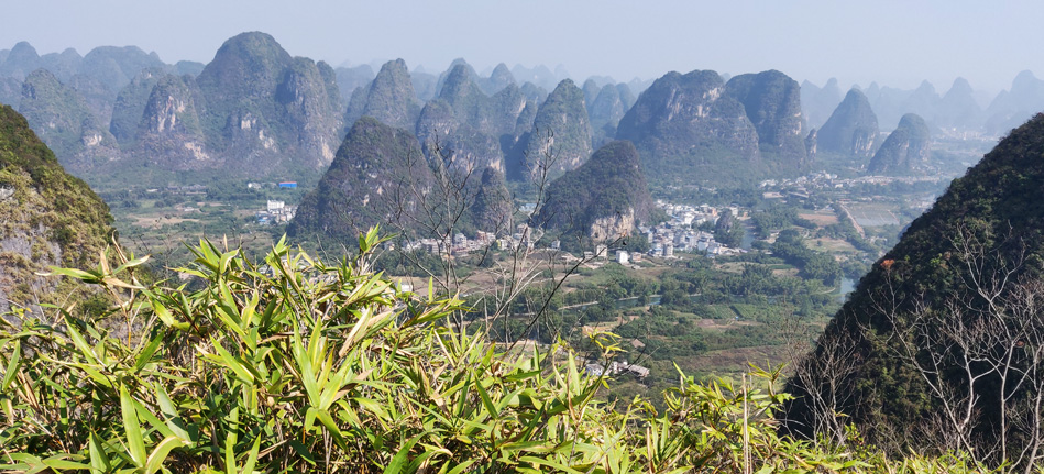 IMG_20191104_114844-949p-