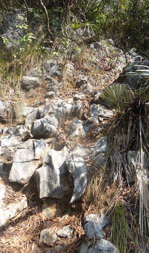 P1130627-top-path-299p-