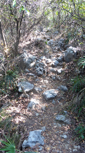 P1130628-top-path-299p-